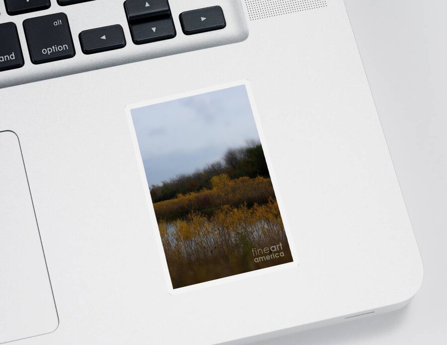 Nature Sticker featuring the photograph Autumn Colors on the Wetlands by Frank J Casella