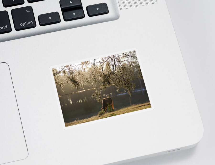 Silhouette Sticker featuring the photograph Autumn Feelings 2 by Andrea Anderegg