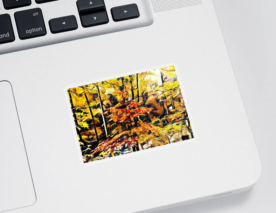 Fall Sticker featuring the photograph Autumn Forest Leaves Abstract by Debra and Dave Vanderlaan