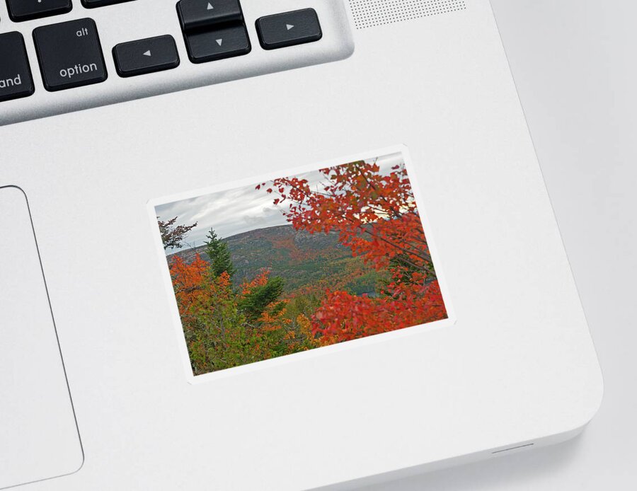 Acadia National Park Sticker featuring the photograph Autumn in Acadia by Paul Mangold