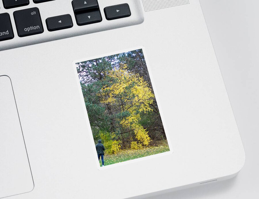  Sticker featuring the photograph Autumn Transition 186 by Ee Photography