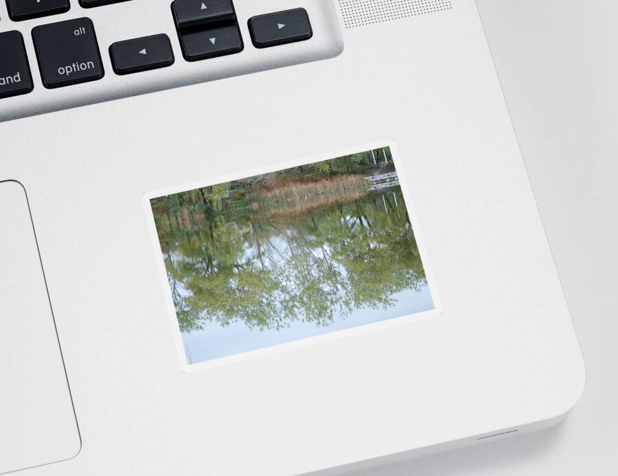 Sticker featuring the photograph Autumn Transition 95 by Ee Photography