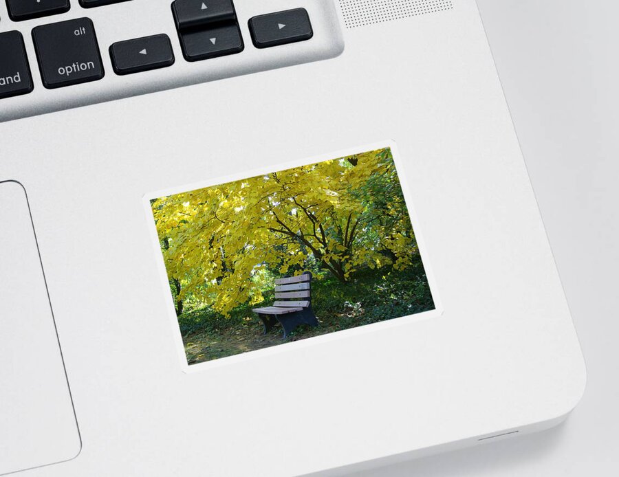 Beautiful Sticker featuring the photograph Autumnal Solitude by Dora Sofia Caputo
