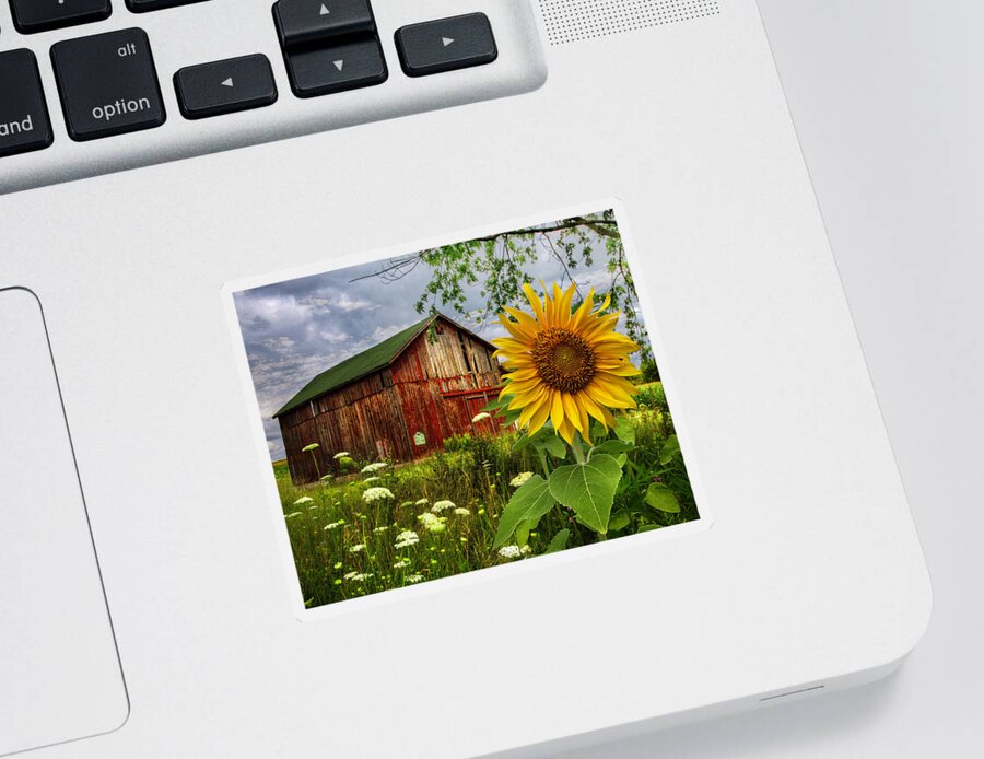 Barn Sticker featuring the photograph Barn Meadow Flowers III by Debra and Dave Vanderlaan