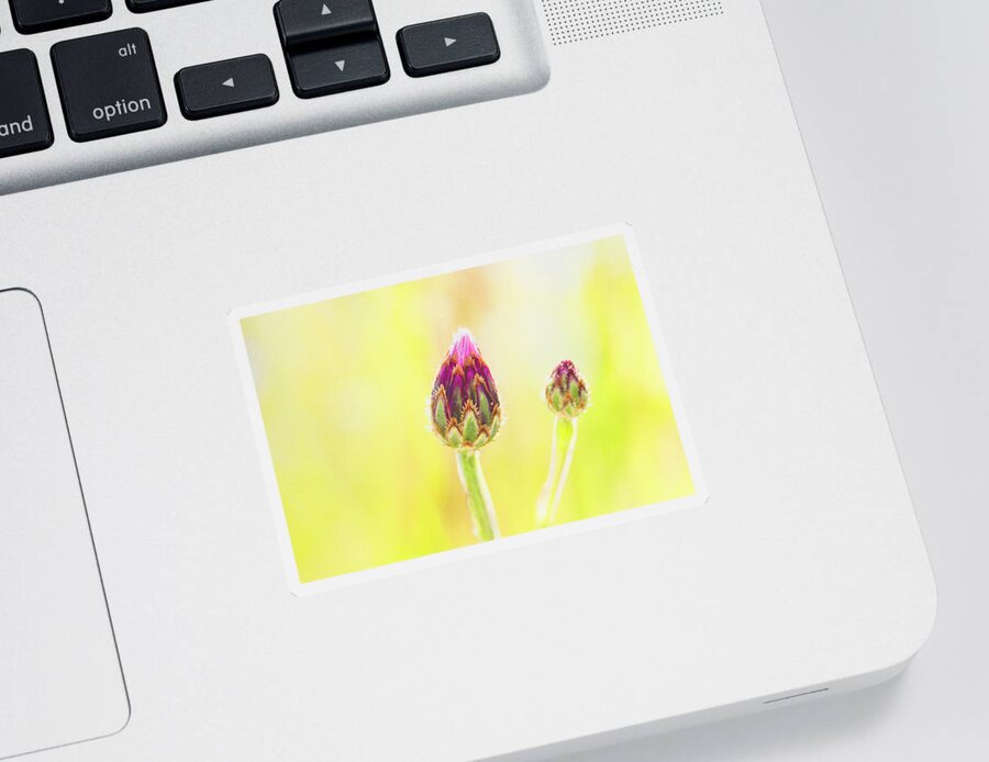 Floral Sticker featuring the digital art Beautiful Buds by Tanya C Smith