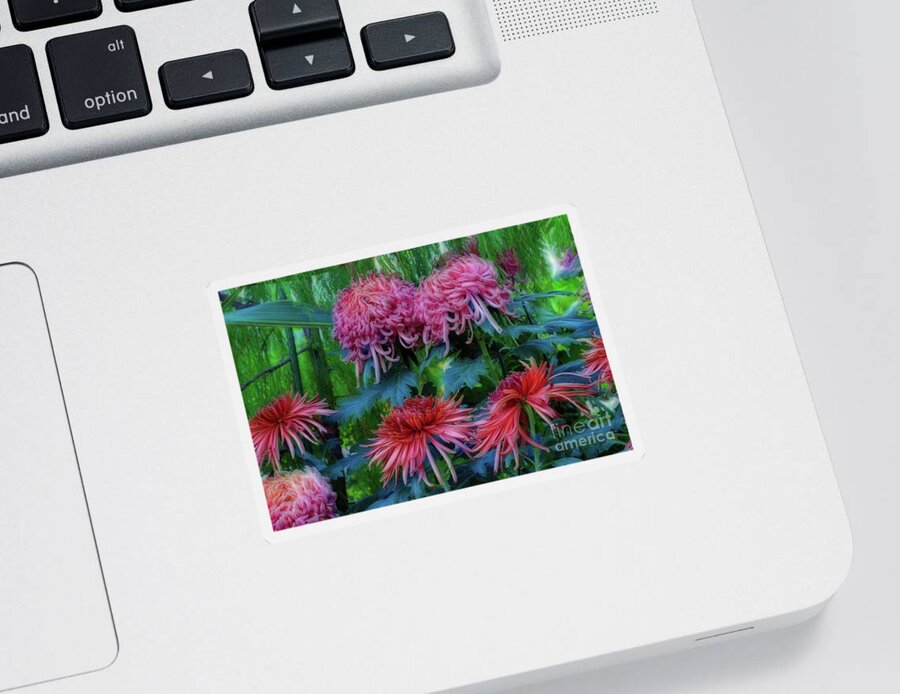 Flowers Flora Chrysanthemum Sticker featuring the photograph Beautiful Chrysanthemums by Elaine Manley