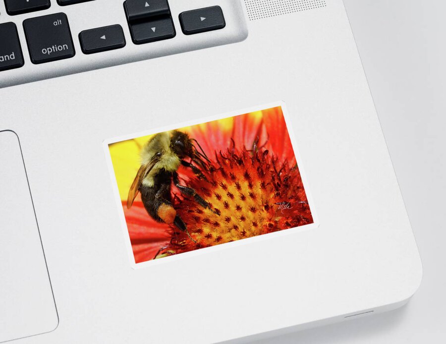 Bee Sticker featuring the photograph Bee Red Flower by Meta Gatschenberger