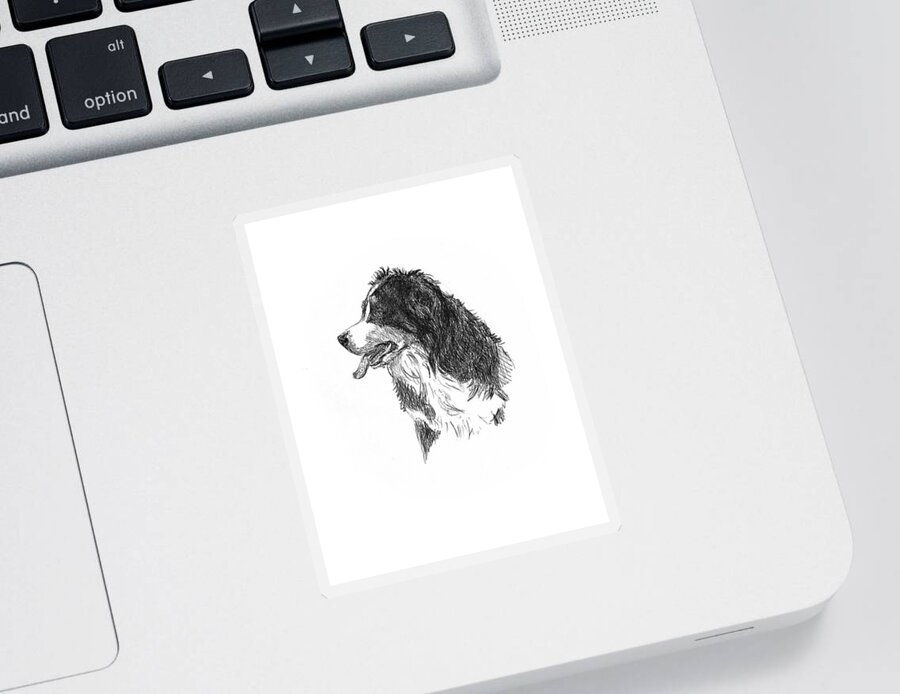 Bernese Mountain Dog Sticker featuring the drawing Bernese Mountain Dog by Masha Batkova