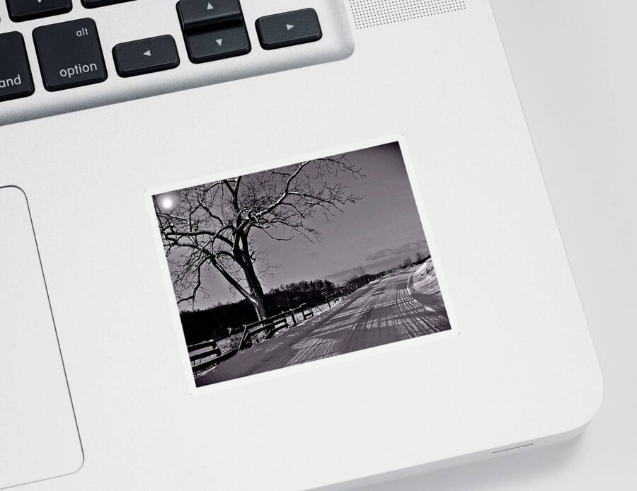 Tree Sticker featuring the photograph Beyond the Wooden Fence by David Dehner