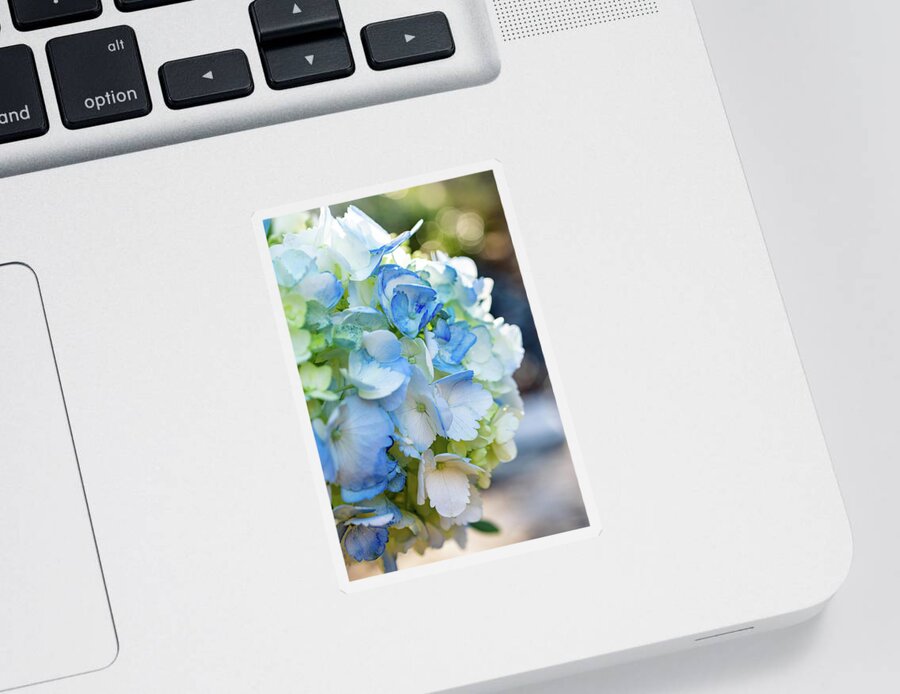 Blue And White Hydrangeas Sticker featuring the photograph Blue and Bokeh by Mary Ann Artz