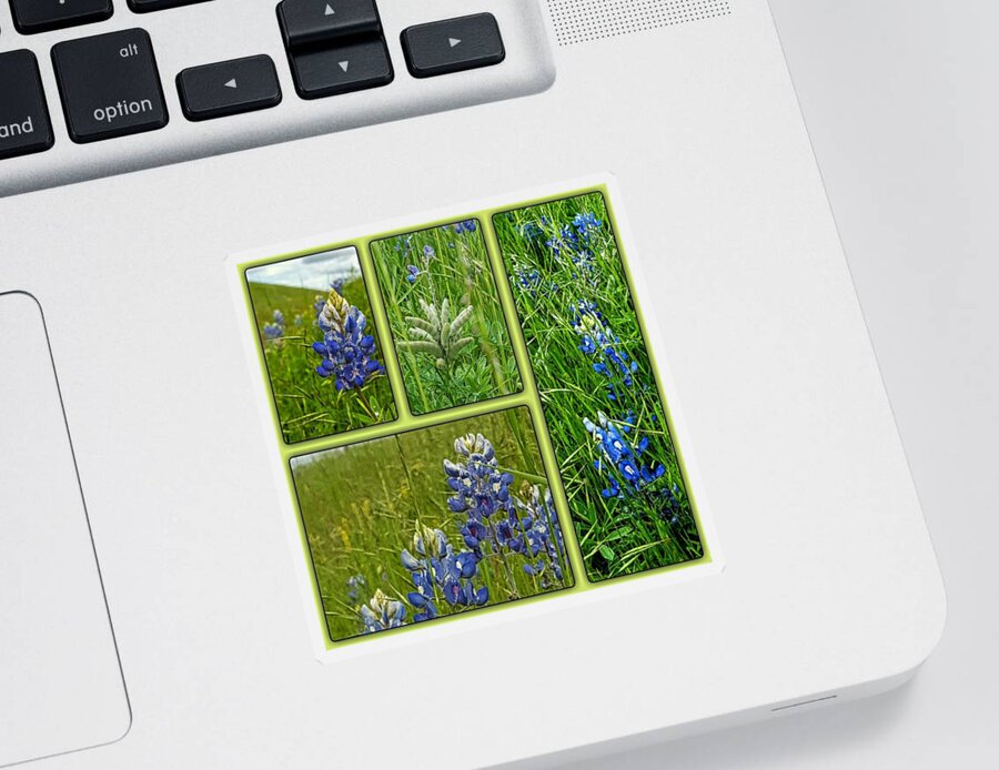 State Flower Of Texas Sticker featuring the digital art Blue Lupines Are Texan Bluebonnets by Pamela Smale Williams