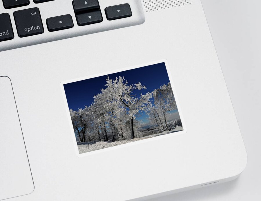 Winter Sticker featuring the photograph Blue Skies In Winter by Lois Bryan