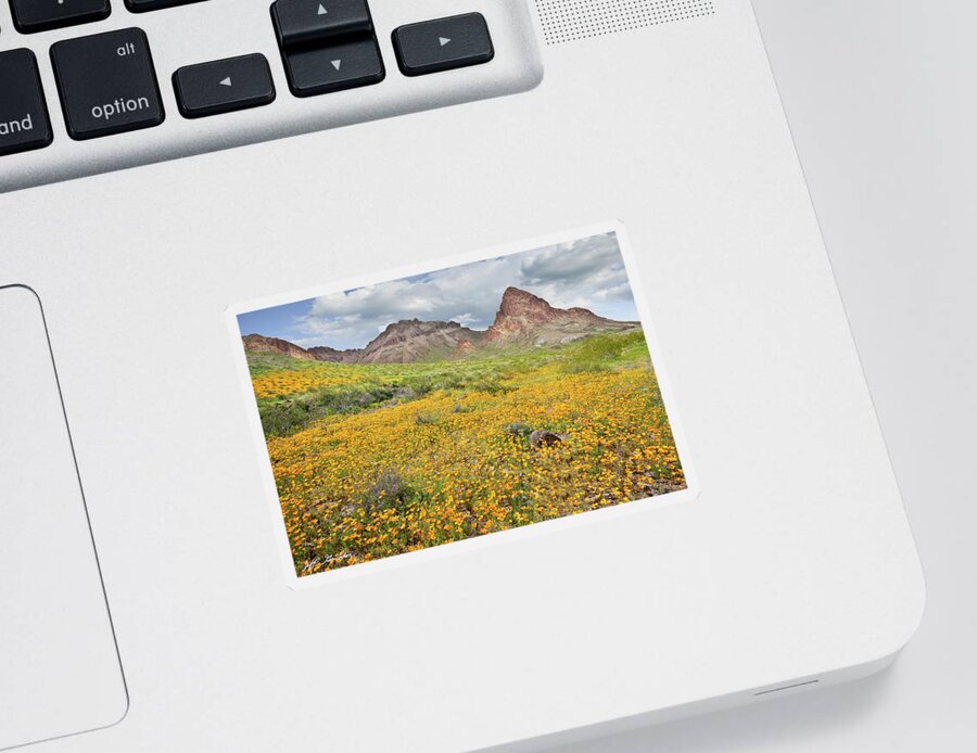 Arid Climate Sticker featuring the photograph Boundary Cone Butte by Jeff Goulden