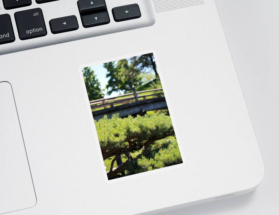 Mocha Cappuccino Sticker featuring the photograph Bridge in Japanese Garden by Colleen Cornelius