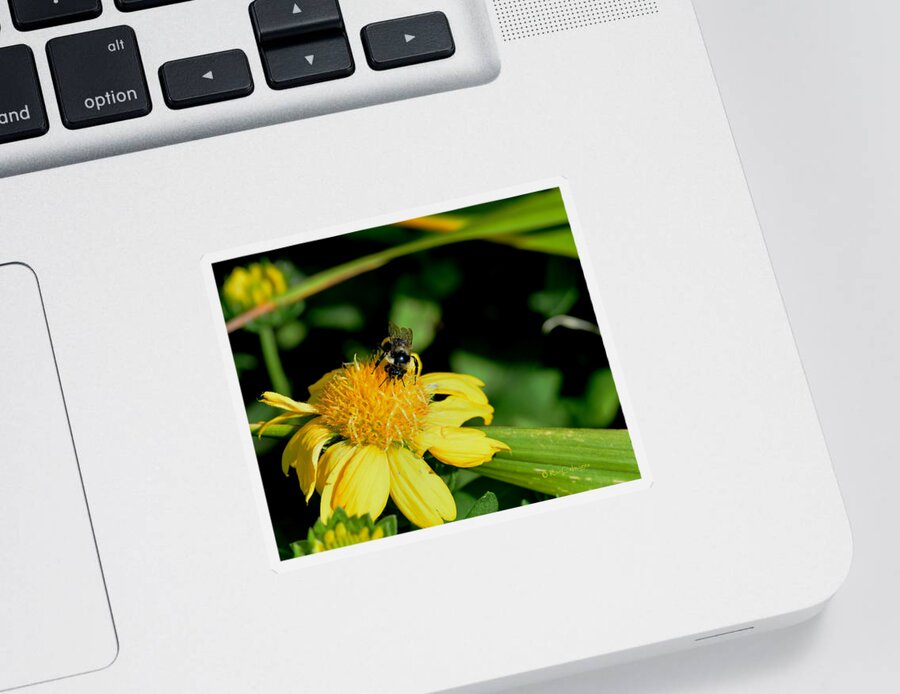 Bee Sticker featuring the photograph Bumblebee at Work by Kae Cheatham
