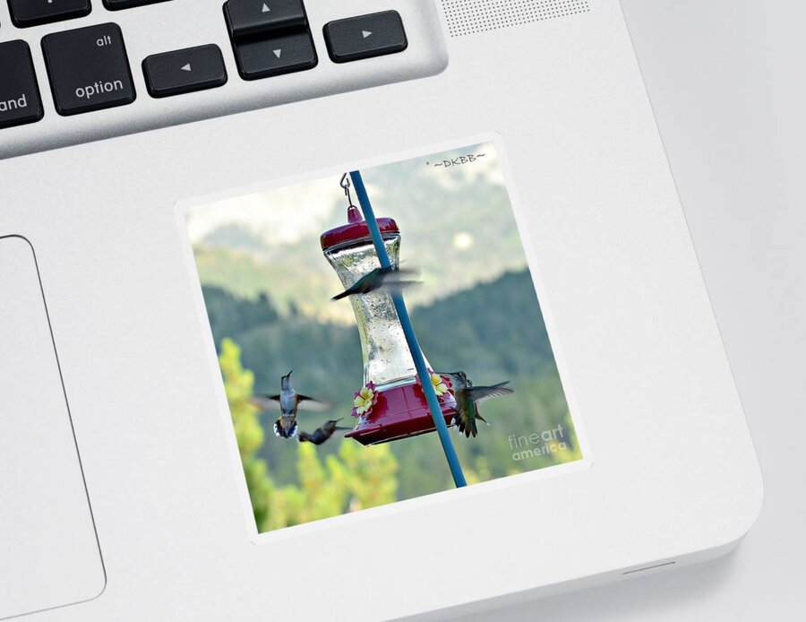 Hummingbirds Sticker featuring the photograph Busy Time at the Feeder by Dorrene BrownButterfield