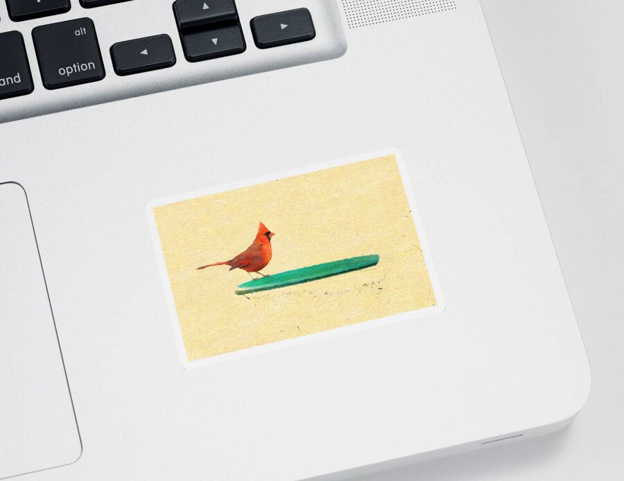 Cardinal Sticker featuring the photograph Cardinal Red Bird by Diane Lindon Coy