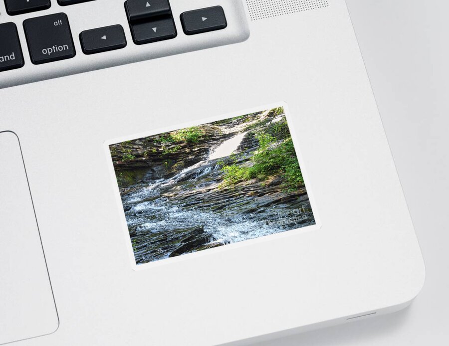 Tennessee Sticker featuring the photograph Cascades At Stinging Fork Falls by Phil Perkins