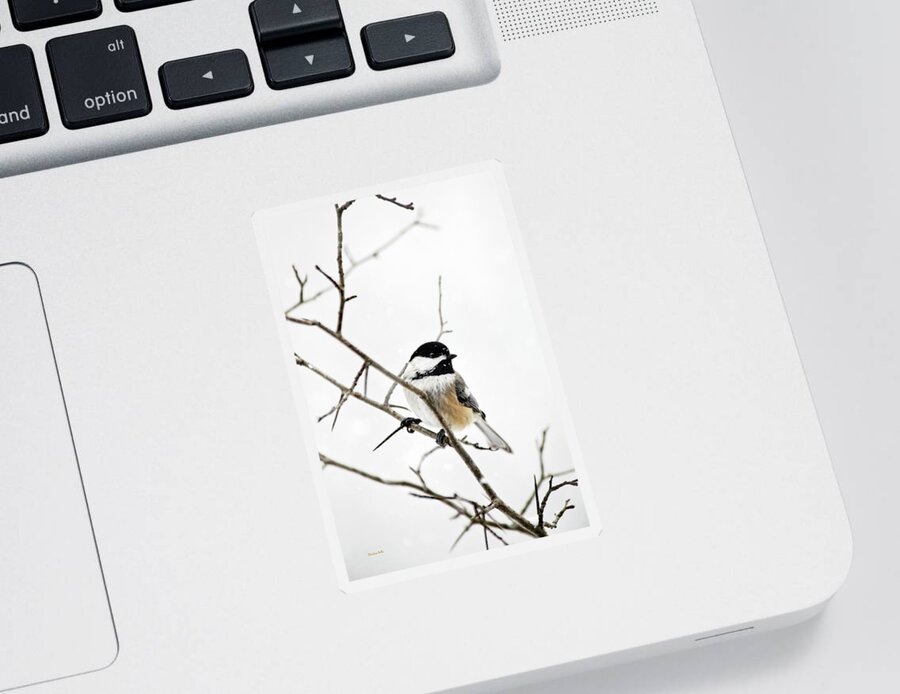 Chickadee Sticker featuring the photograph Charming Winter Chickadee by Christina Rollo