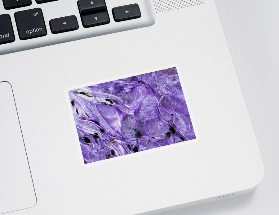 Abstract Sticker featuring the photograph Charoite Mineral, Close-up by Mark Windom