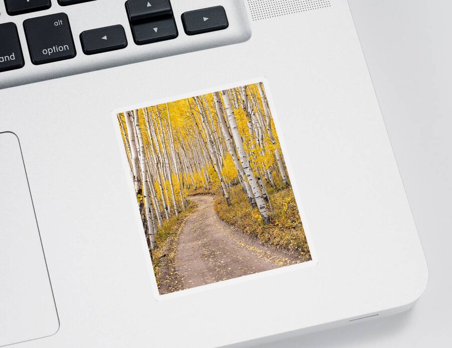 Aspen Sticker featuring the photograph Colorado Gold II by Rand Ningali