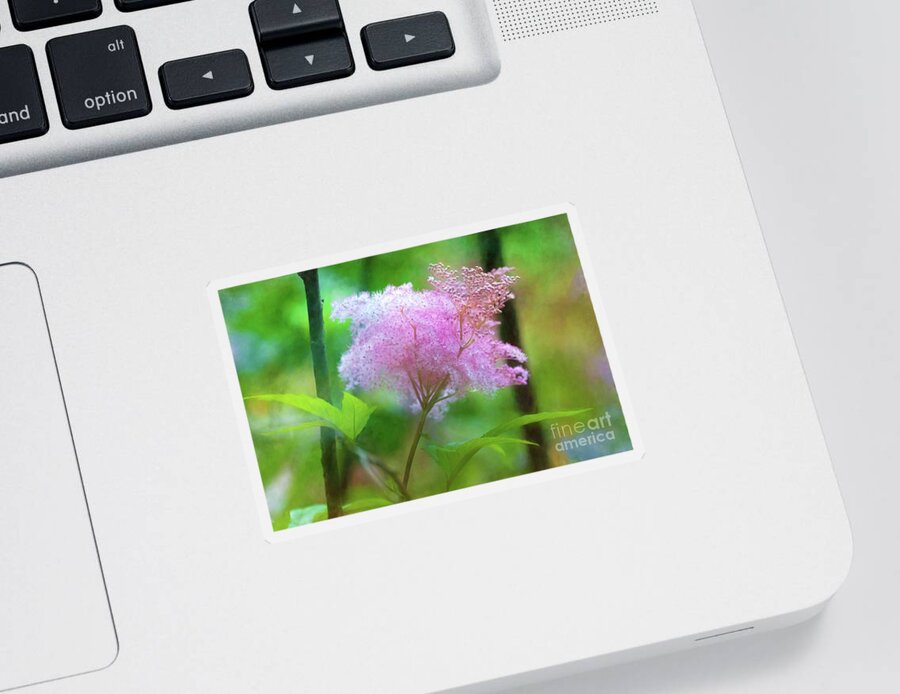 Queen Of The Prairie Sticker featuring the photograph Cotton Candy Floral Joy by Anita Pollak
