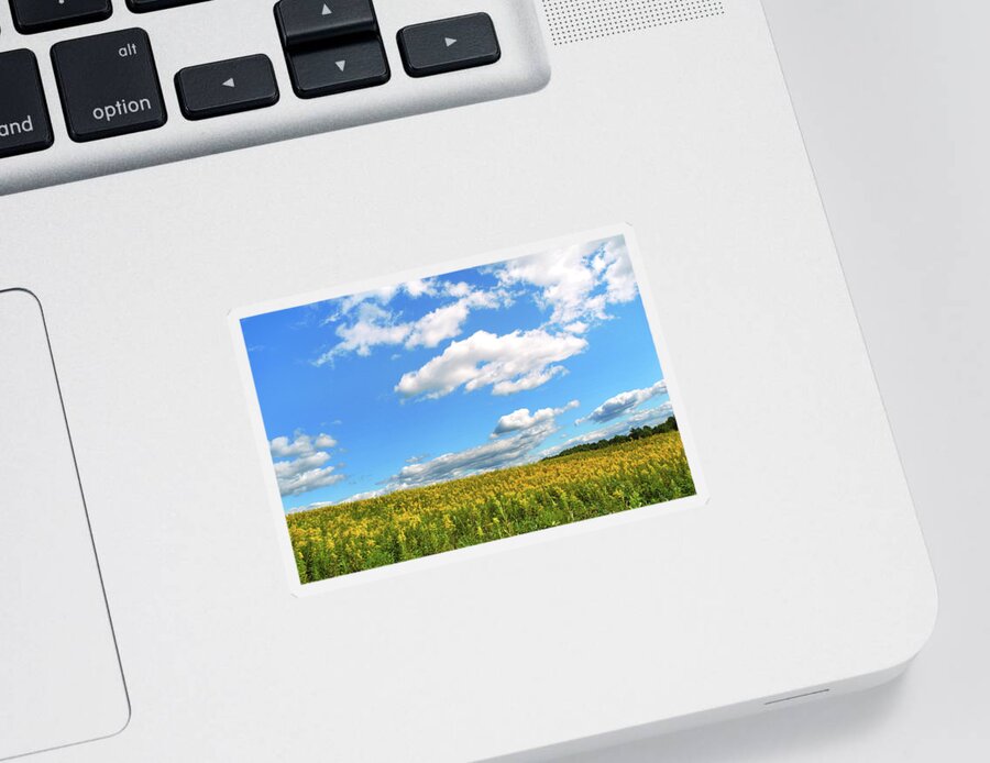 Blue Sky Sticker featuring the photograph Country Field Of Flowers by Christina Rollo