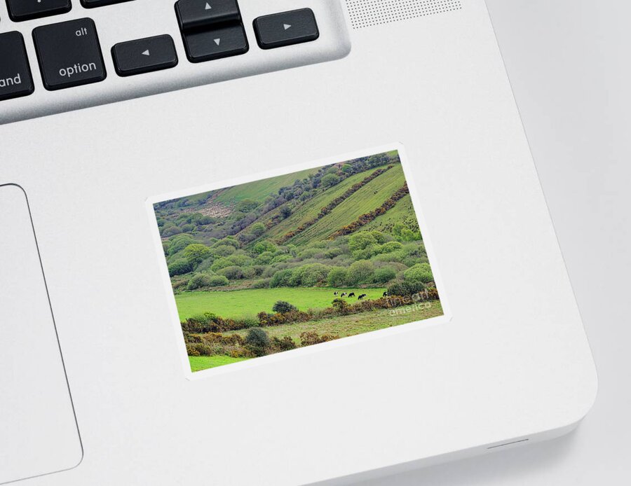 County Sticker featuring the photograph County Kerry Landscape by Olivier Le Queinec