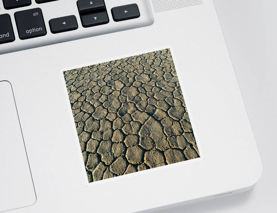 Dry Sticker featuring the photograph Cracked Earth I by William Dickman