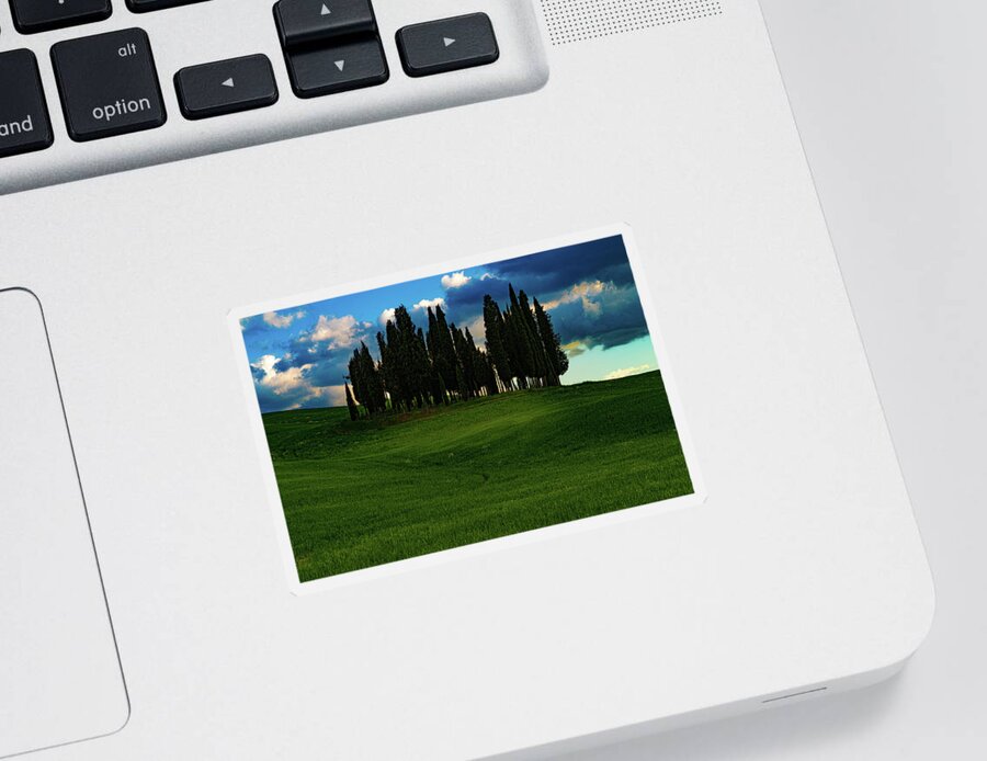 Tuscany Sticker featuring the photograph Cypress Trees by Chris Lord
