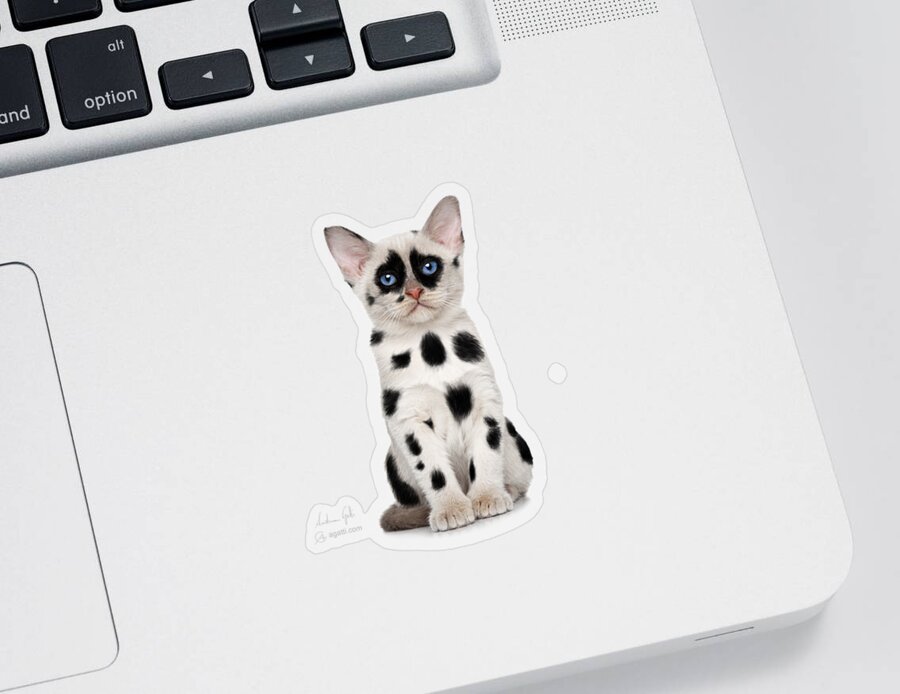 Cat Sticker featuring the digital art Dalmatian Cat by Andrea Gatti