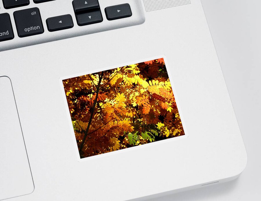 Mountain Ash Sticker featuring the digital art Days Of Autumn 12 by Will Borden