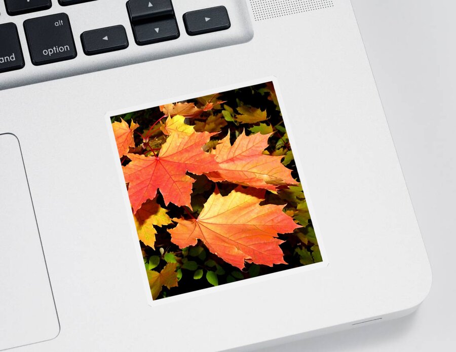 Maple Sticker featuring the digital art Days Of Autumn 21 by Will Borden