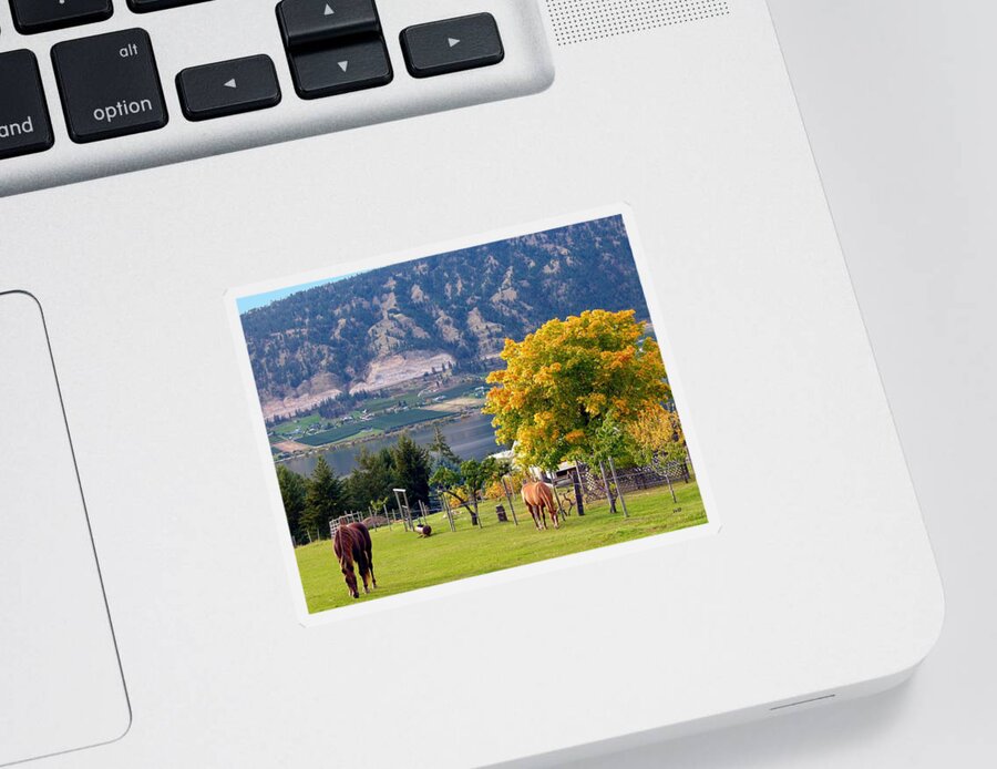Horses Sticker featuring the photograph Days Of Autumn 25 by Will Borden