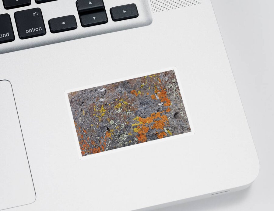 Background Sticker featuring the photograph Details, brightly colored lichen on volcanic boulde by Steve Estvanik
