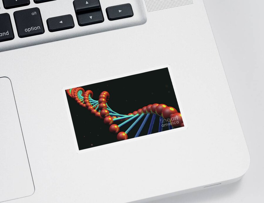 Art Sticker featuring the photograph DNA by Spencer Sutton