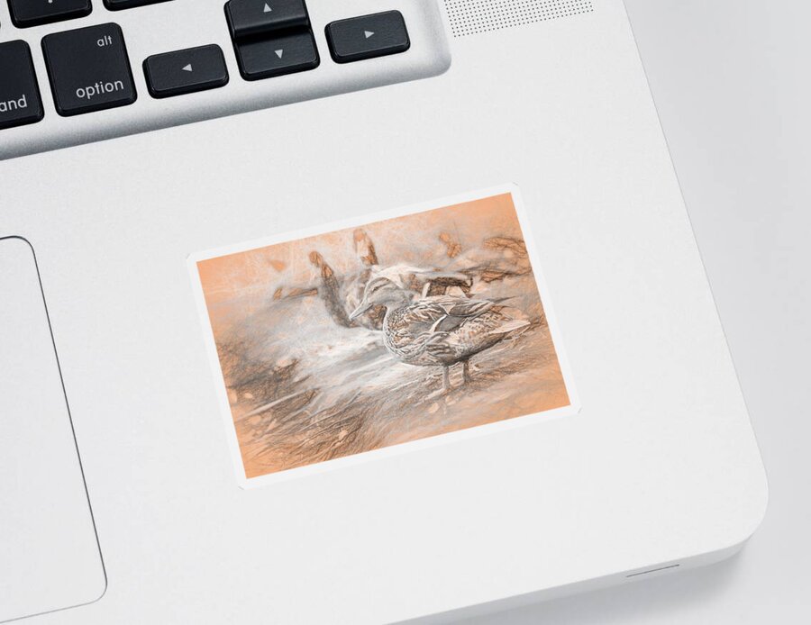 Duck Sticker featuring the photograph Ducks on Shore da Vinci by Don Northup
