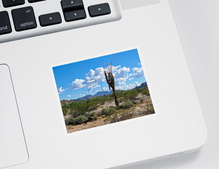 Arizona Sticker featuring the photograph Dying Saguaro in the Desert by Judy Kennedy