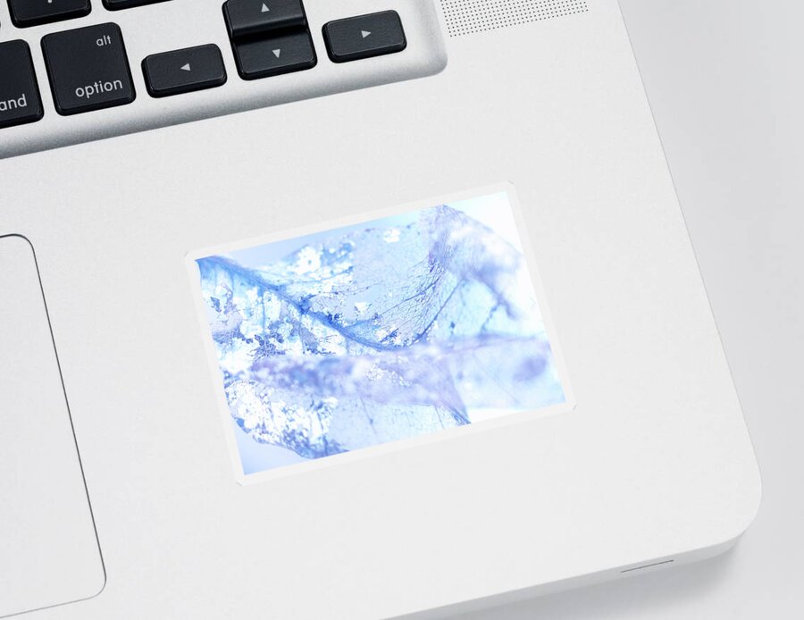 Leaf Sticker featuring the photograph Ethereal by Iryna Goodall