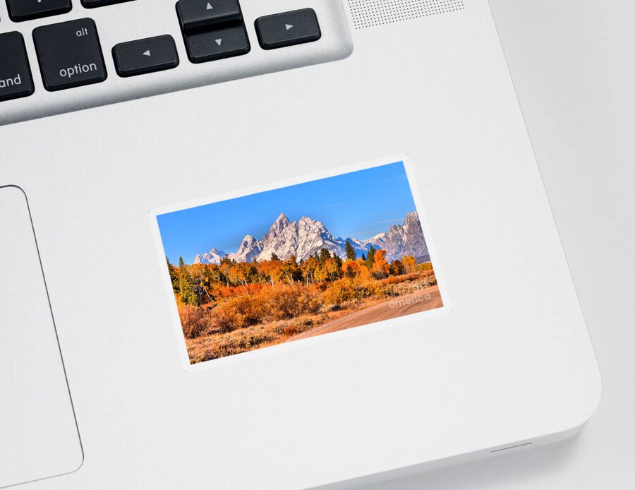 Grand Teton Sticker featuring the photograph Fall Foliage Under The Cathedral Group by Adam Jewell