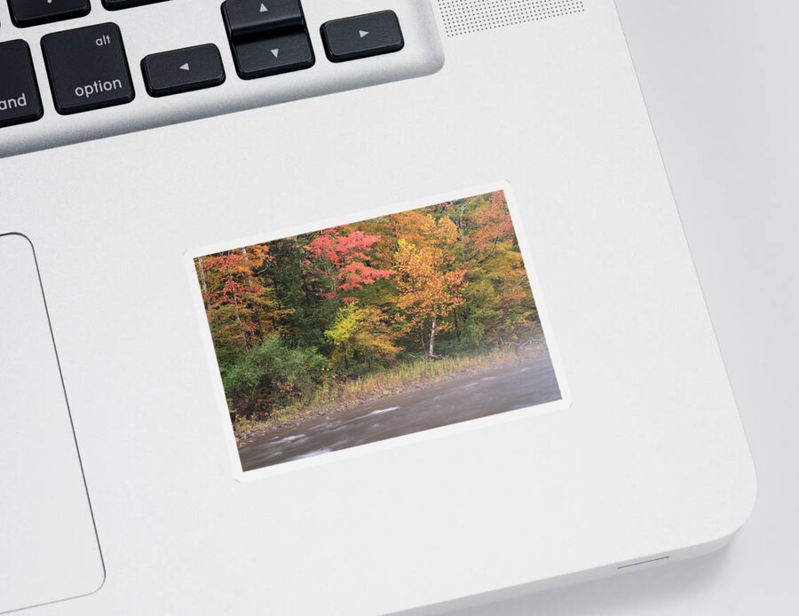 Arlington Sticker featuring the photograph Fall On The Battenkill River by David Kenny