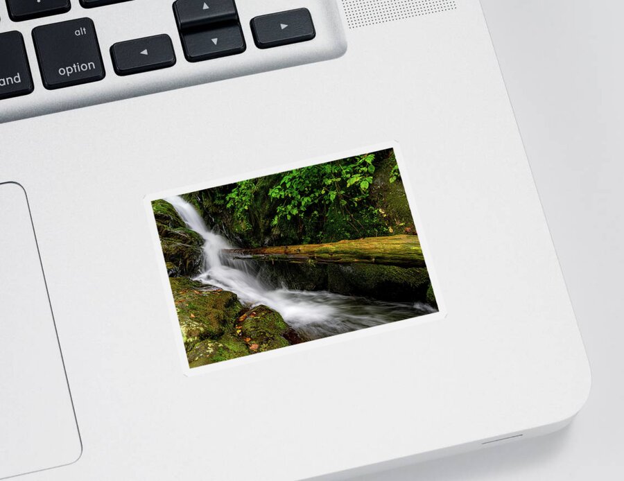 Waterfall Sticker featuring the photograph Fallen Tree Waterfall by William Dickman