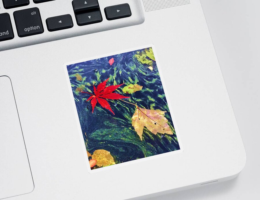 Fall Sticker featuring the photograph Floating Fire by Tom Johnson