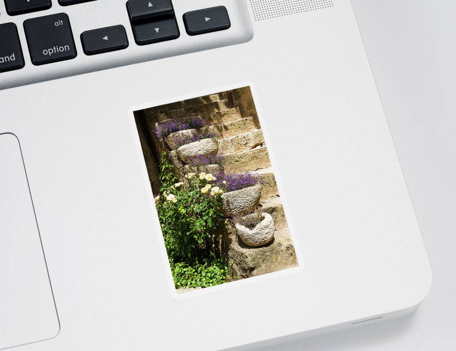 Flower Sticker featuring the photograph Flowered stairs - 2 by Paul MAURICE