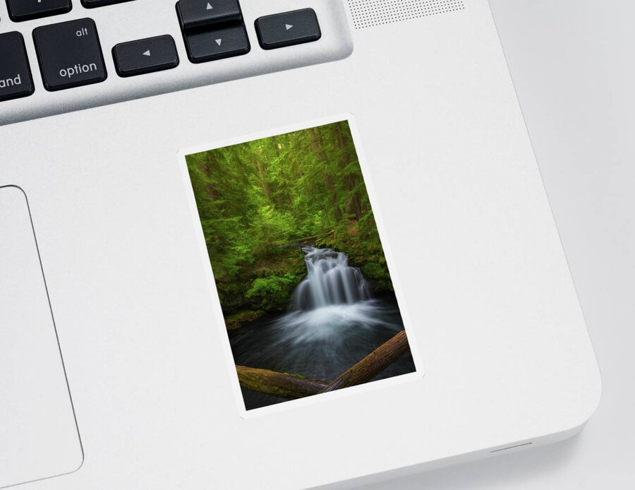 Lush Sticker featuring the photograph Flowing Through the Forest by Darren White