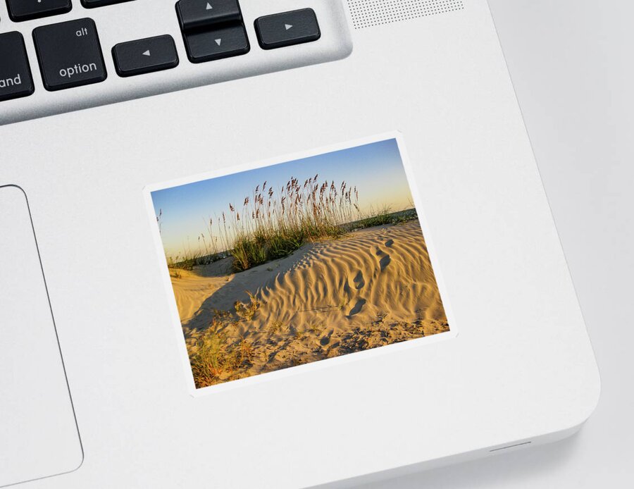 Dune Sticker featuring the photograph Footprints in Sand 2 by Patricia Schaefer