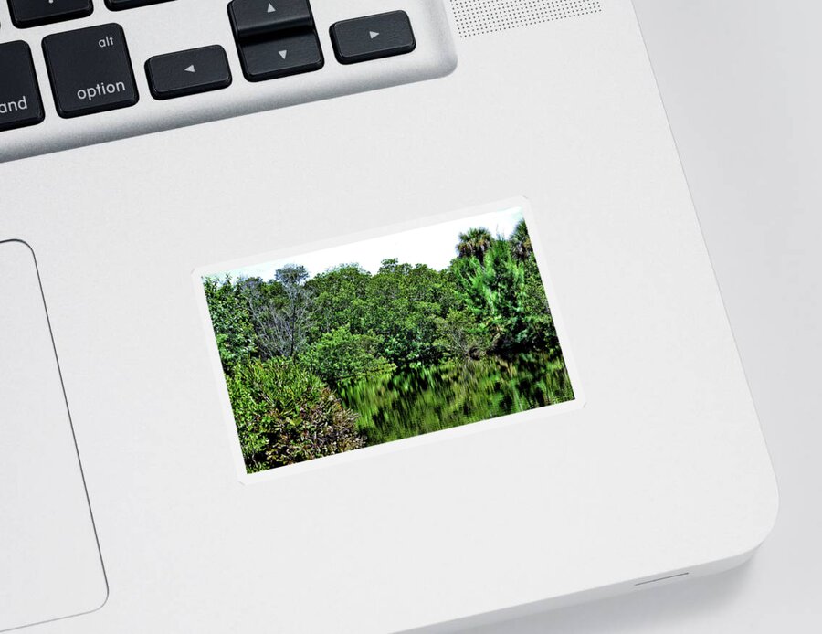 Trees Sticker featuring the photograph Forest Reflection by Debra Kewley