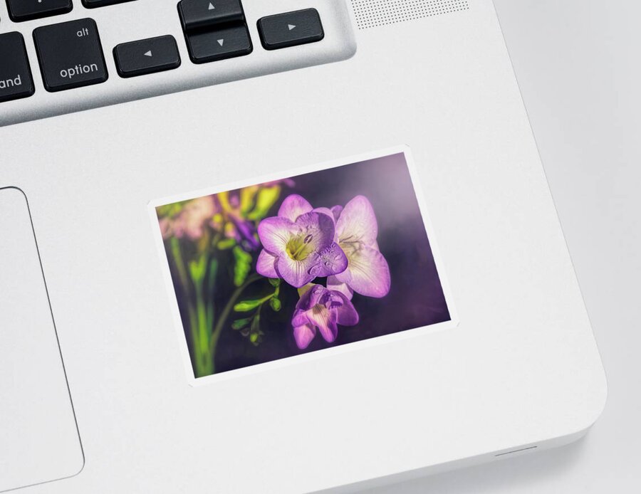 Freesia Sticker featuring the photograph Fragrant Freesia by Carol Japp