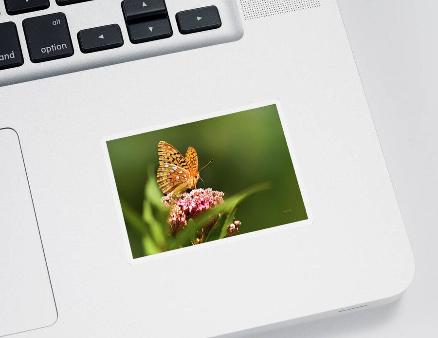 Butterfly Sticker featuring the photograph Fritillary butterfly On Pink Milkweed Flower by Christina Rollo