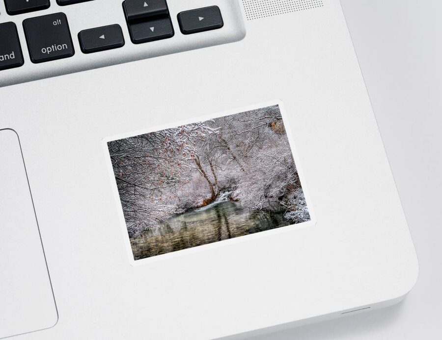 Frosty Sticker featuring the photograph Frosty Pond by Fiskr Larsen